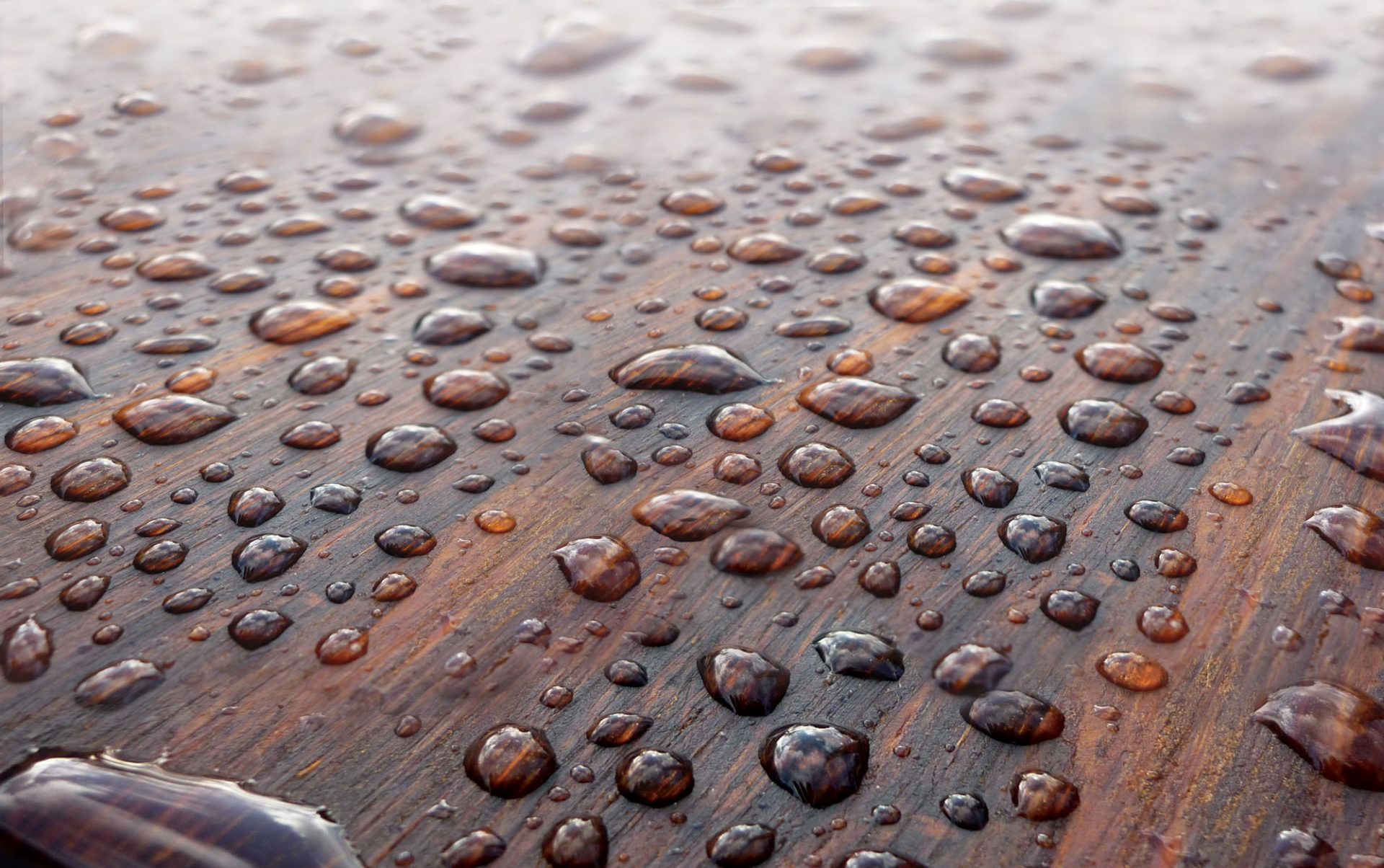 Rain drops on dark timber